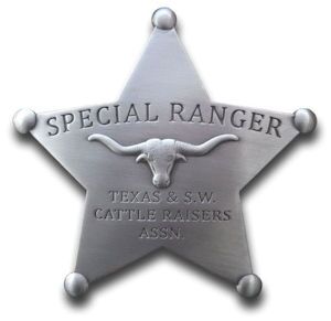 Special Ranger Badge