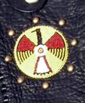 Yellow Thunderbird rosette
