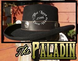 250_paladin_195
