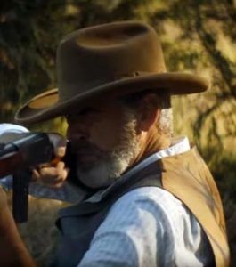 Pierce Brosnan in The Son