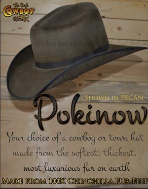 Pokinow Cowboy Hat