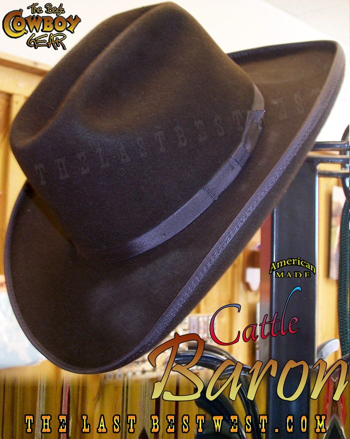 The baddest western brim ever made s-l400.jpg main image 2